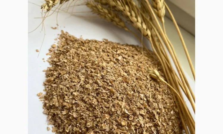 Пшенична висівка Продаж - фото № 1