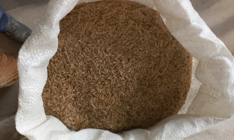 Млин реалізує полову вівсяну у мішках - фото № 1