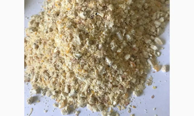 Мучка Кукурузная - фото № 1