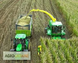 Отруби кукурузные - фото № 4