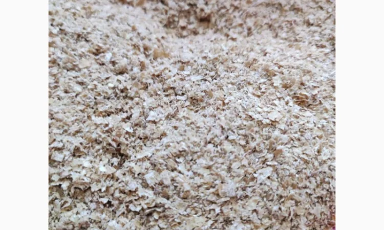 Продам висівки пшеничні - фото № 1