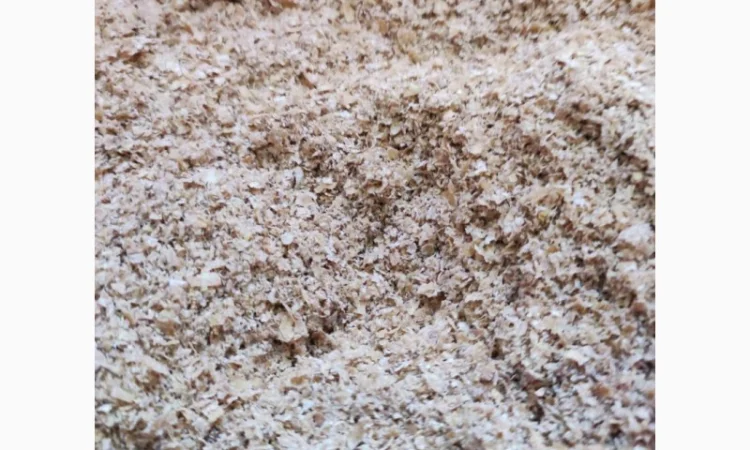 Продам висівки пшеничні - фото № 2