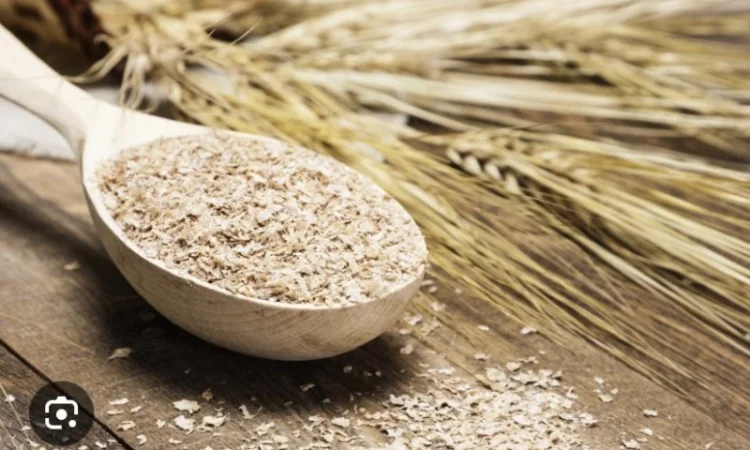 Высевка пшеничная оптом от производителя - фото № 1