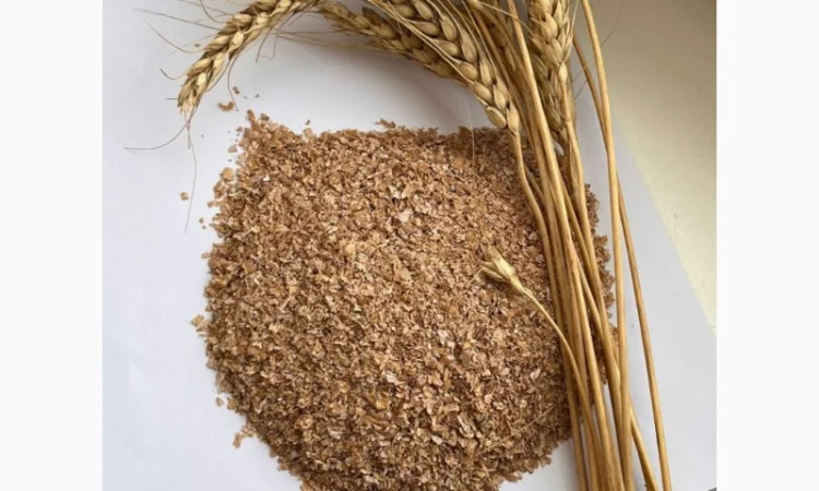 Висівки пшеничні продам - фото № 1