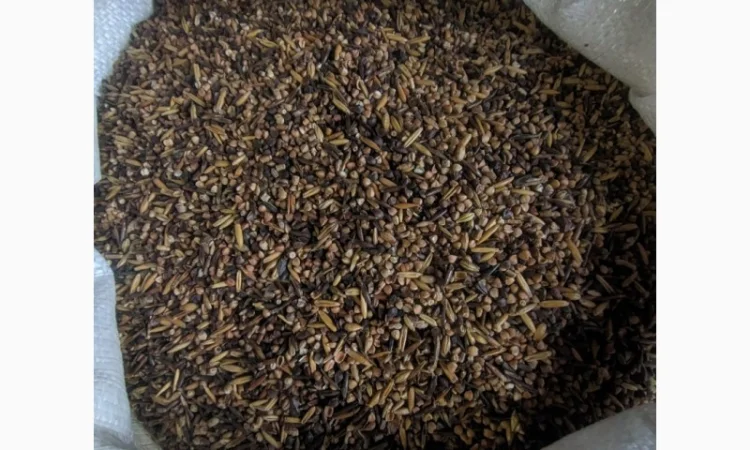 Відходи зернові гречані - фото № 1