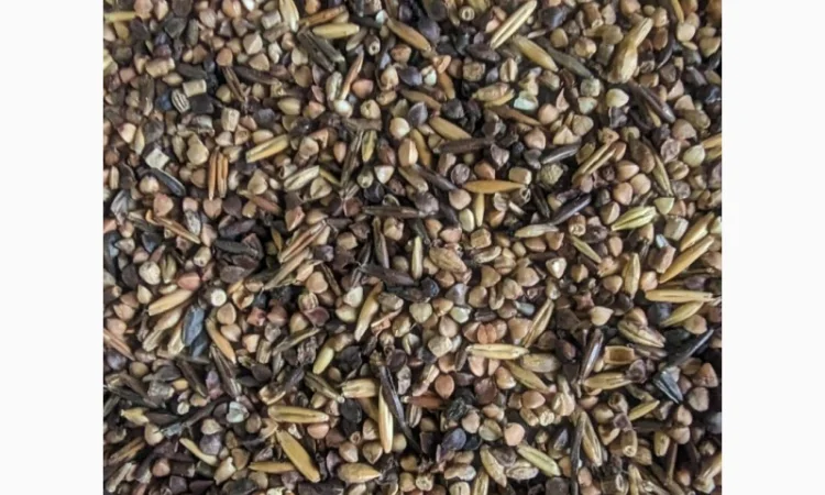 Відходи зернові гречані - фото № 2