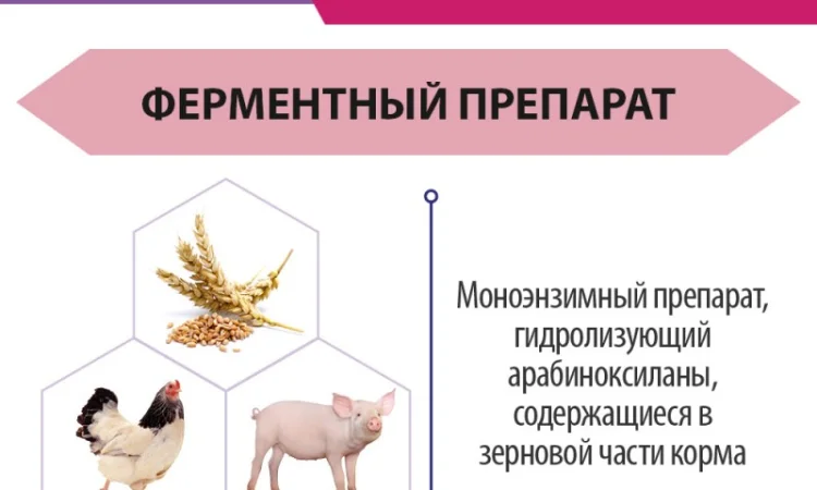 Ксилолад - Ферменты для животных и птицы - фото № 3