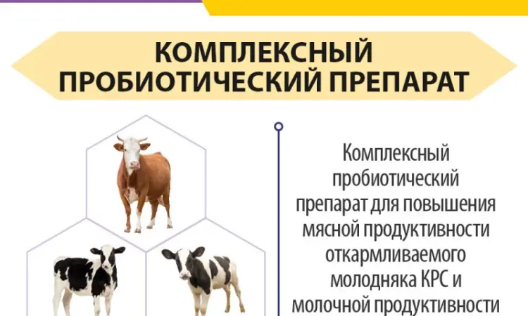 Пробиол Плюс - Пробіотик для тварин і птиці - фото № 3