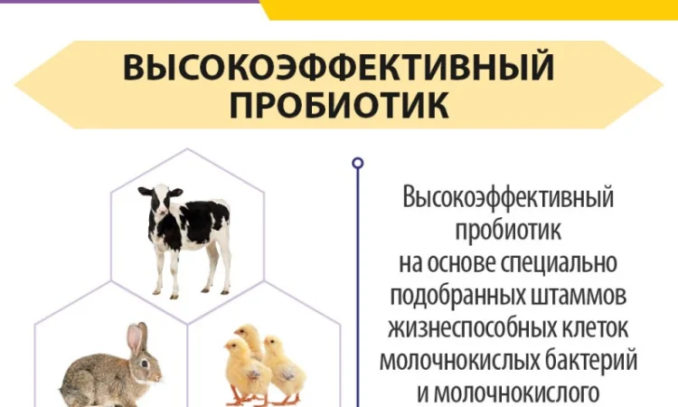 Пробиол - Пробиотик для животных и птицы - фото № 3