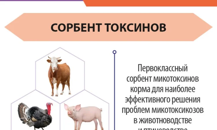 МикоЛад - Сорбент для животных и птицы - фото № 3