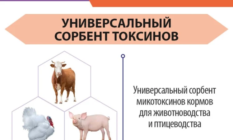 МикоСтоп ENZIM Feeds - Сорбент для животных и птицы - фото № 1