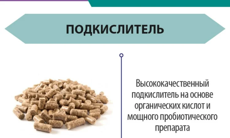 КомбиЦид ENZIM Feeds - Подкислитель корма для животных и птицы - фото № 1