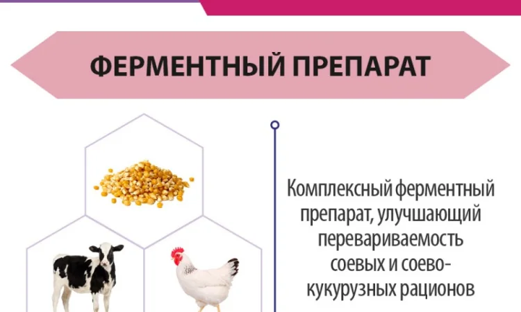 АльфаГал ENZIM Feeds - Ферменты для животных и птицы - фото № 1