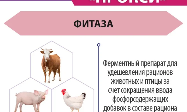 Ладозим Прокси (Фитаза) - Фермент для животных и птицы - фото № 3