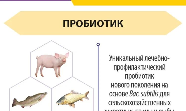 Субалин - Пробиотик для животных, птицы и рыбы - фото № 3