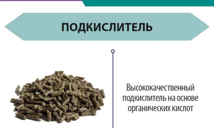 Кормоцид - Подкислитель корма для животных и птицы - фото № 3