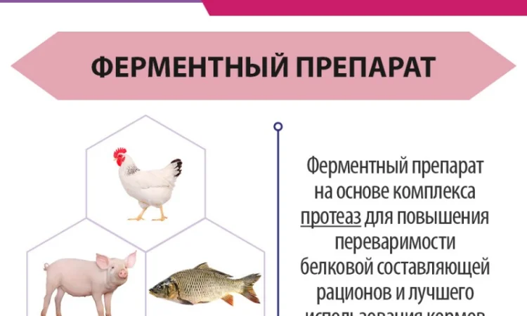 Проторизин - Ферменты для животных, птицы и рыбы - фото № 3