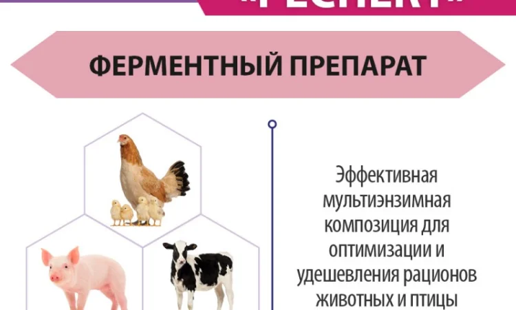 Ладозим Респект ENZIM Feeds - Ферменты для животных и птицы - фото № 2