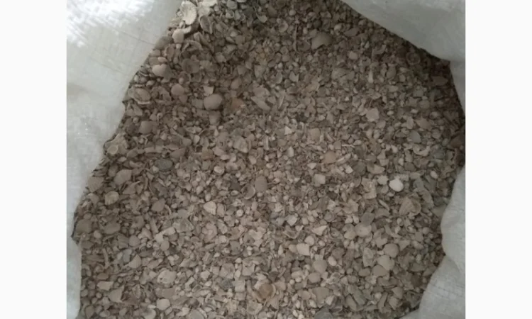 Ракушка річкова кормова - фото № 3