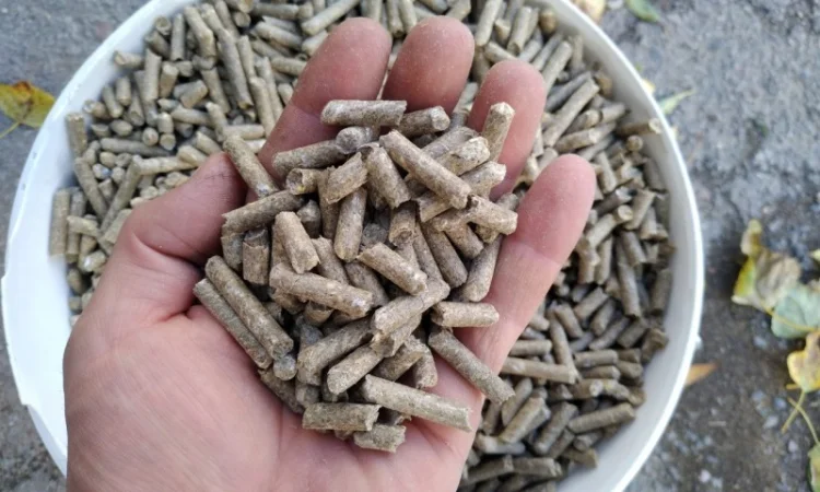 Корм для кур несушек: гранулированный ячмень и овес - фото № 2