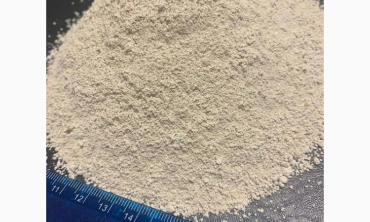 Вапнякове борошно (вапняк кормовий) - фото № 1