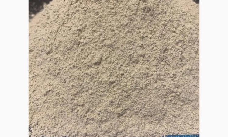 Вапнякове борошно (вапняк кормовий) - фото № 3