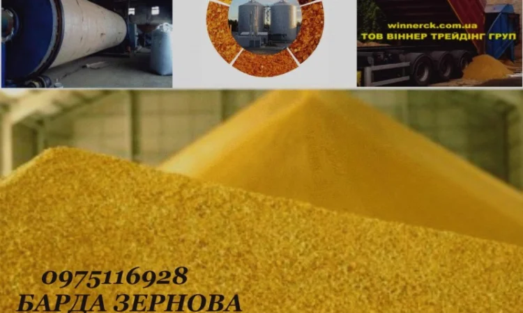 Подам барду післяспиртову суху DDGS з виробництва - фото № 1