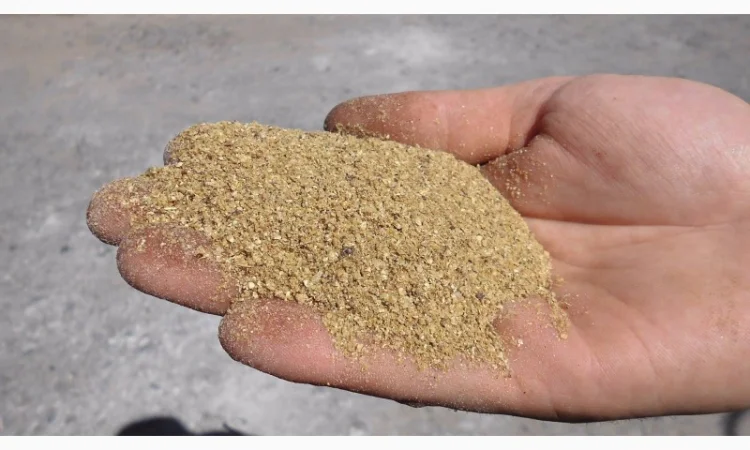 Дрожжи кормовые (спиртовые) - фото № 2