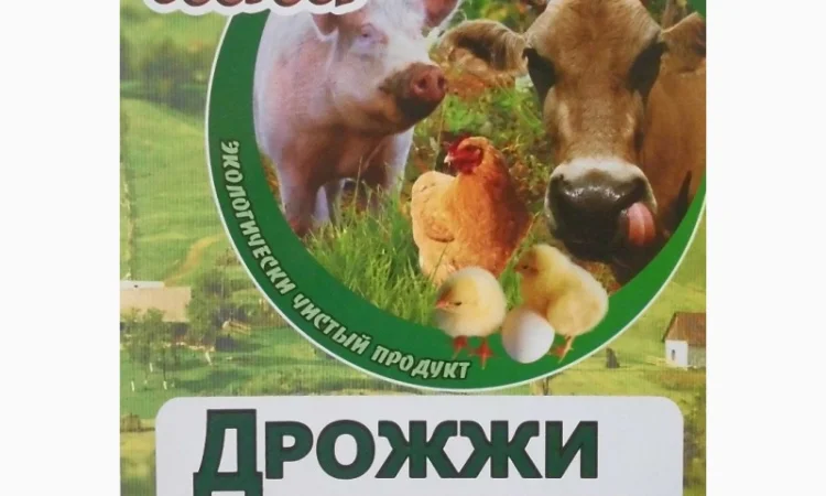 Дрожжи кормовые (спиртовые) - фото № 1