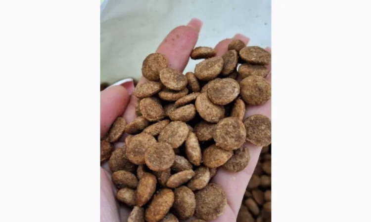 Продам корм для кошек и собак - фото № 4