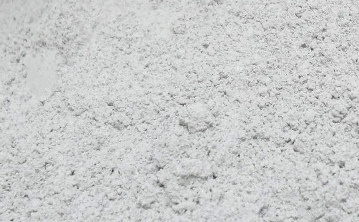 Известняк кормовой - фото № 1