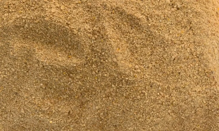 Соевый концентрат - фото № 1