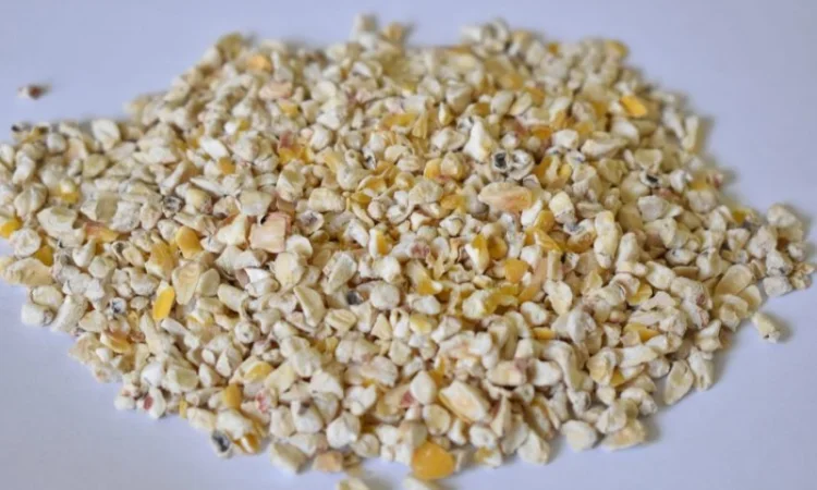 Кукурудзяний зародок - фото № 1