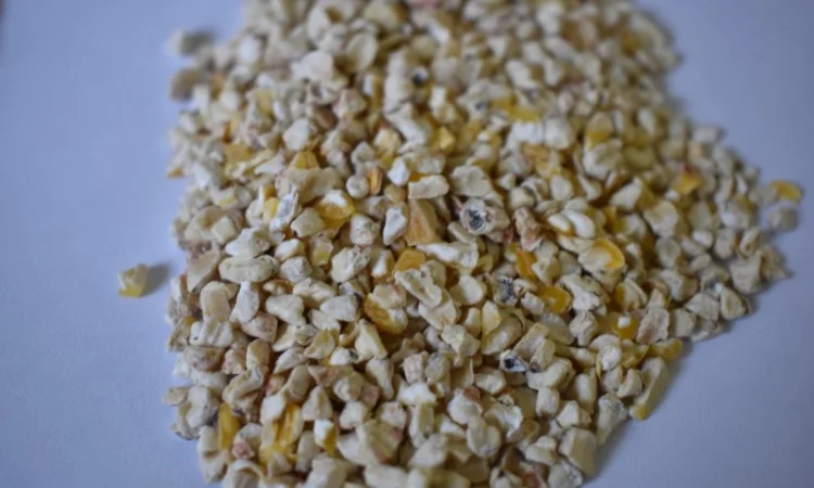 Кукурудзяний зародок - фото № 2