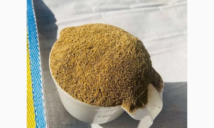 DDGS кукурудзяний - фото № 1