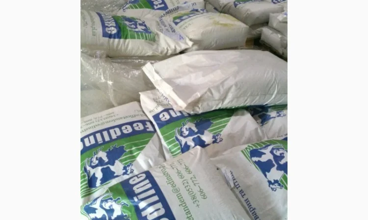 Лізин L-HCl - фото № 1