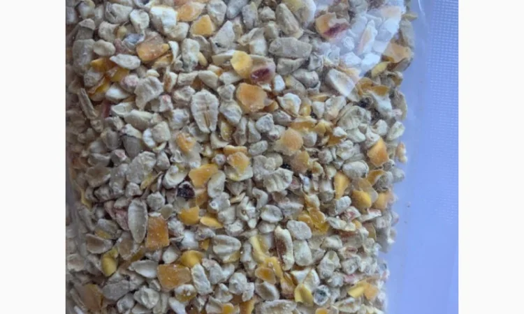 Зародыш кукурузный - фото № 1