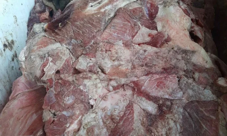 Сухий корм для собак - фото № 9