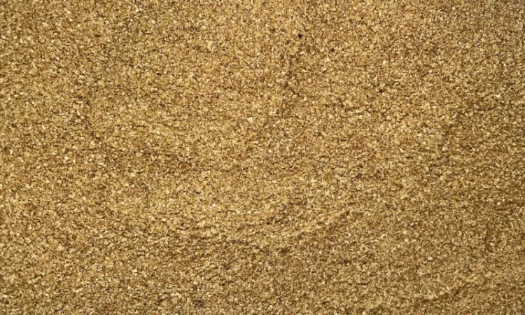 БАРДА спиртова DDGS - фото № 2