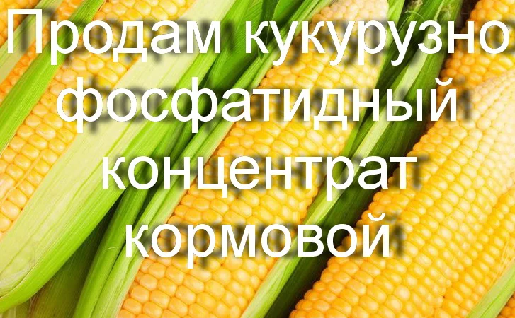 Продам кукурузно-фосфатидный концентрат кормовой - фото № 1