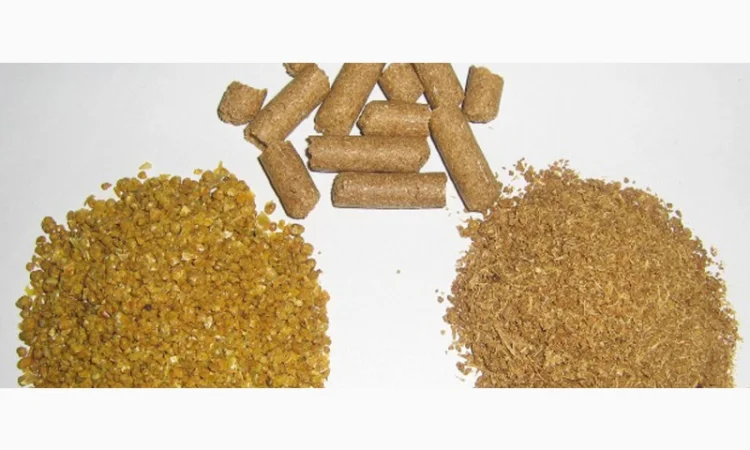 Барда, дробина, жом, шрот - фото № 1