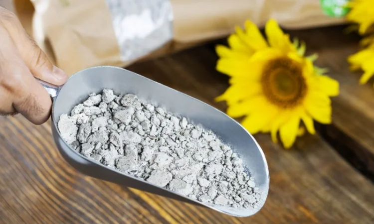 Високопротеіновий соняшниковий концентрат - фото № 1