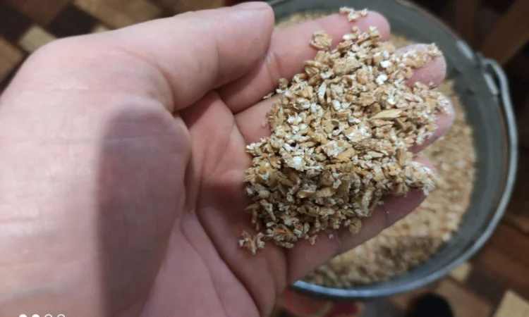 Продам Крупу пшеничну для тварин, виготовлену вальцевою плющілкою - фото № 1