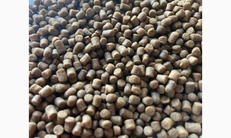 Корм Fishery Tech Deepdine Pro для осетра, форелі (1, 0; 2, 0; мм) - фото № 3