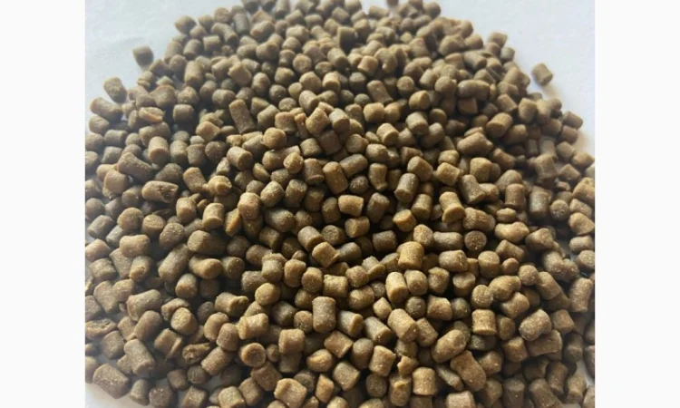 Корм Fishery Tech Deepdine Pro для осетра, форелі (1, 0; 2, 0; мм) - фото № 4