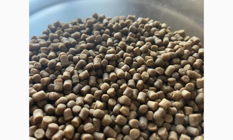 Корм Fishery Tech Barbel Classic для малька коропа, сома (2, 0; 3, 0; 4, 0; 4, 5; 6, 0 мм) - фото № 2