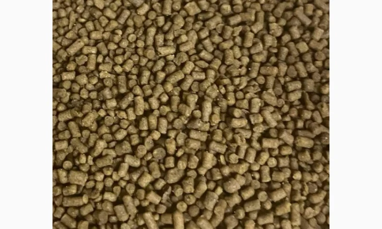 Корм Fishery Tech Deepdine Base для осетра, форелі (2, 0; 3, 0; 4, 0; 4, 5; 6, 0 мм) - фото № 3