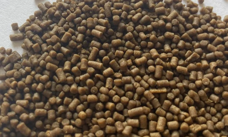 Корм Fishery Tech Deepdine Ultra для осетра, форелі (0, 2; 0, 5; 0, 9; 1, 2; 1, 5; 2, 0 мм) - фото № 3