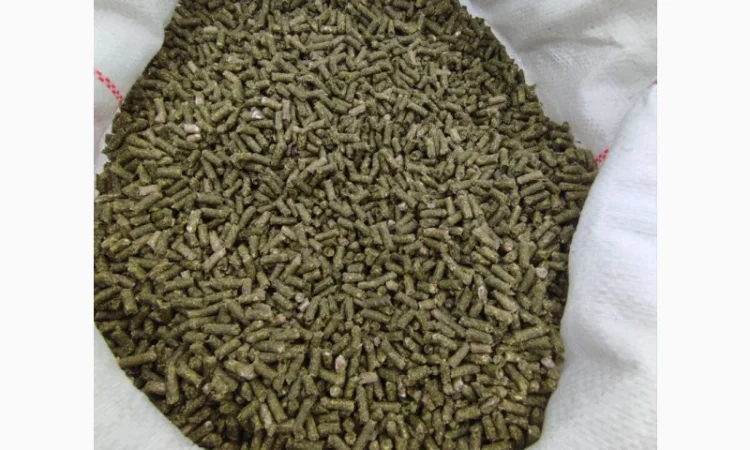 Люцерна гранульована - фото № 1