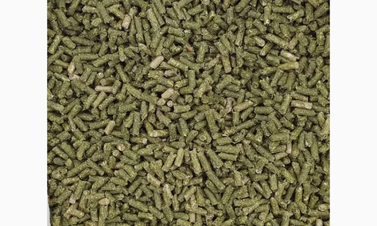 Люцерна гранульована - фото № 2